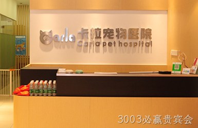 点击查看卡拉宠物案例