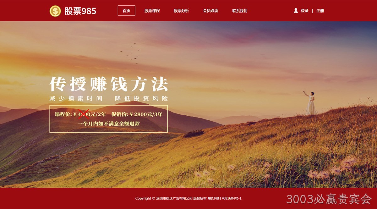 盼达广告网站案例