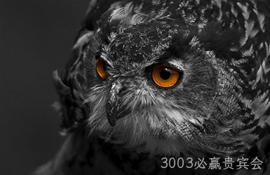 点击查看好品无休商城案例