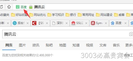 HTTPS 公司名显示2