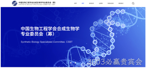 网站设计图