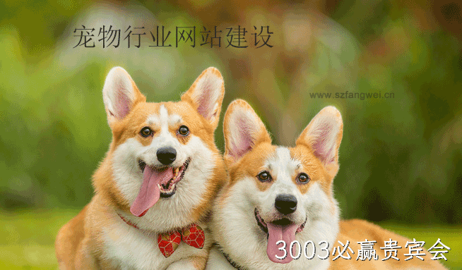 宠物行业网站建设