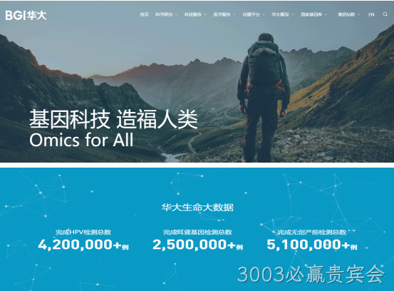 网站案例