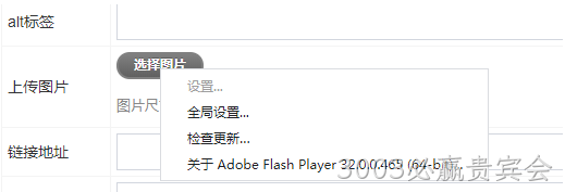 启用flash插件上传