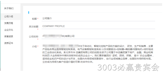企业网站开发