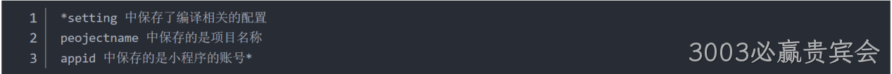  JSON 配置文件