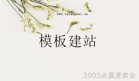 模板网站