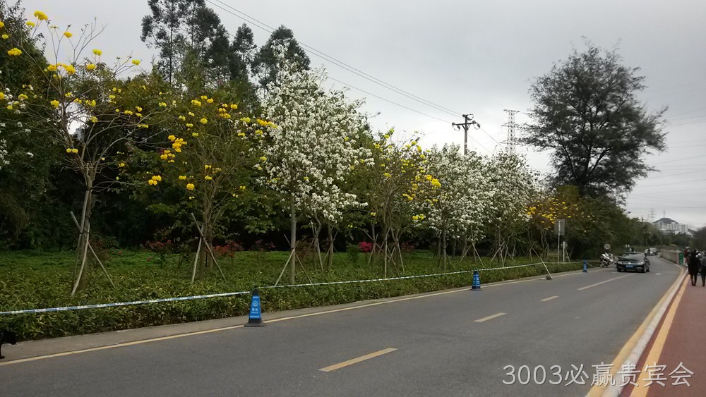 3003必赢贵宾会仙湖行