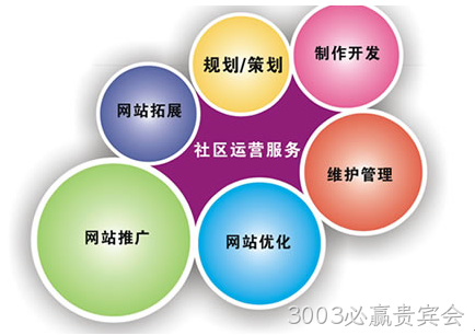 网站开发