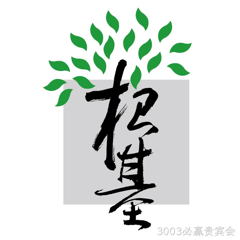 网站设计基础