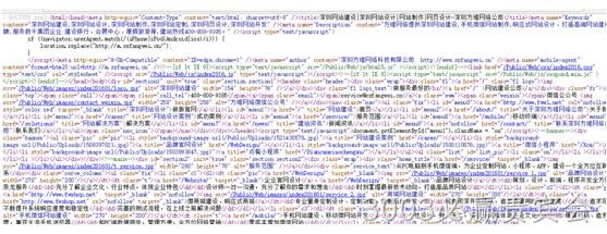 网站代码检测